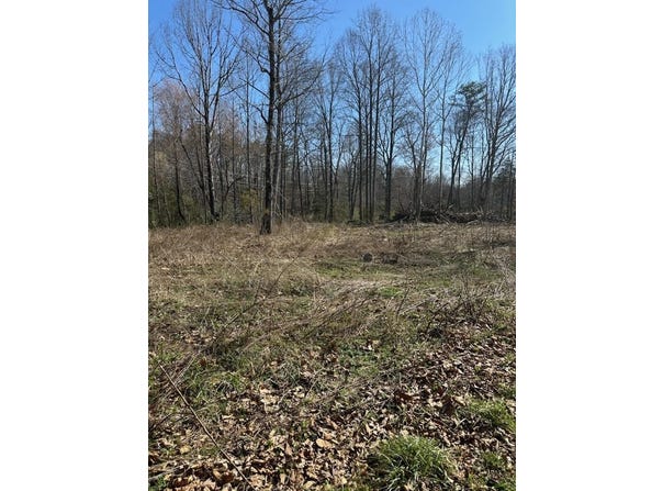 TBD 0 CRIMORA MINE RD, CRIMORA, VA 24431