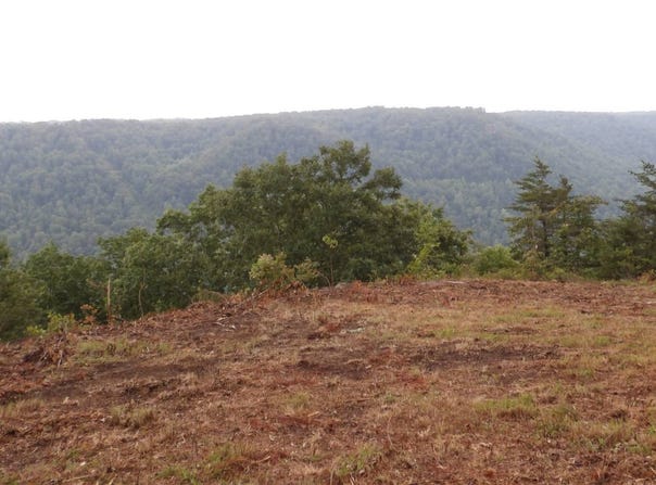 442 Valley View Circle, Wilder, TN 38589