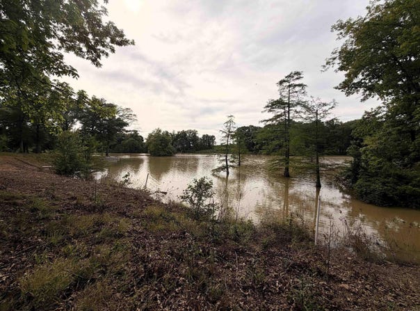 12798 Griffin Road, Des Arc, AR 72040