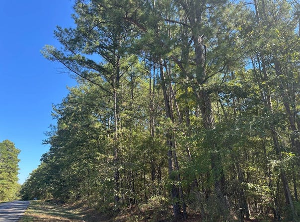 C Pat Luckett Rd., Canton, MS 39046
