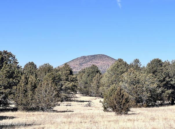 7223 Daisy Drive, Williams, AZ 86046