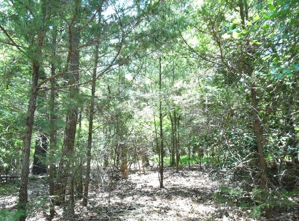 21-TBD Dogwood Dr, Murchison, TX 75778