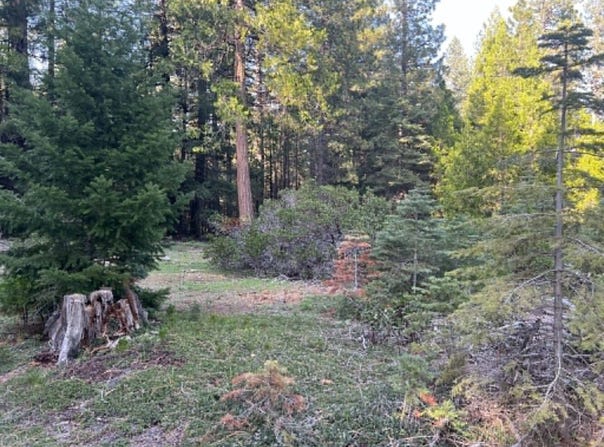 0000 CA-44, Shingletown, CA 96088