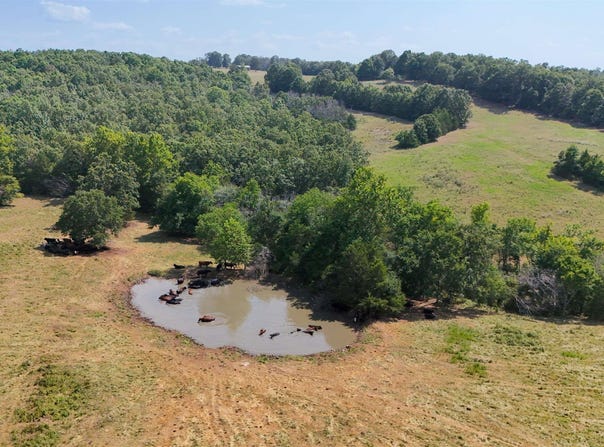 corinth rd, Ash Flat, AR 72513