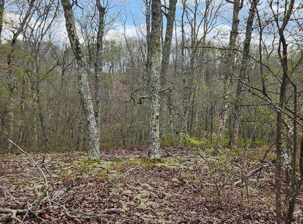 id40 Greenbriar Ct, HOLLADAY, TN 38341