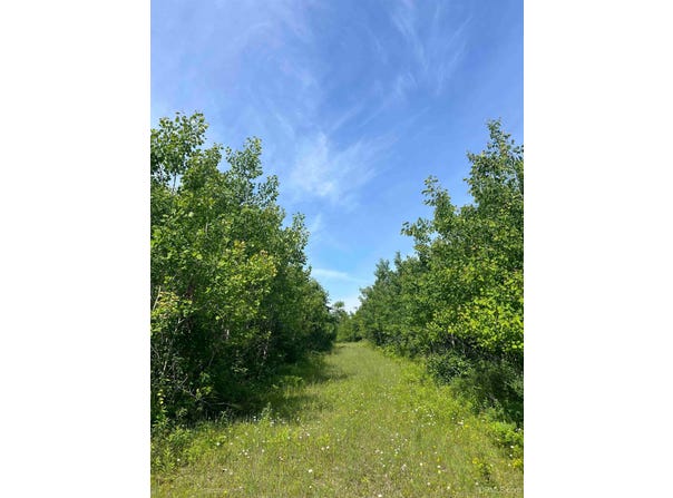 Chalk Hills Road, Daggett, MI 49821