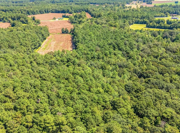 Myrtle West Dr., Loris, SC 29569