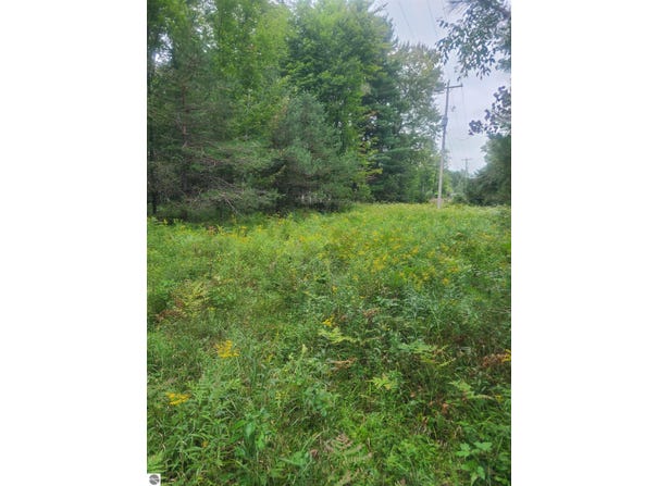 M-55, Whittemore, MI 48770