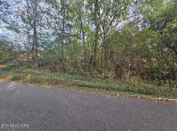 River Rd lot: # 96, Kingston, TN 37763