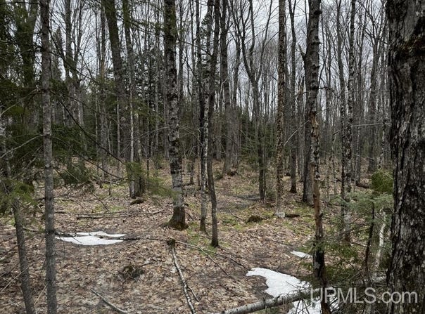 Motley Road, Nisula, MI 49952