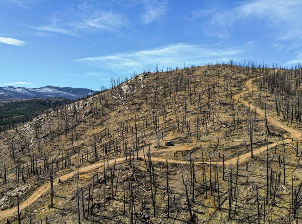 3600 Moondance Way, Bellvue, CO 80512