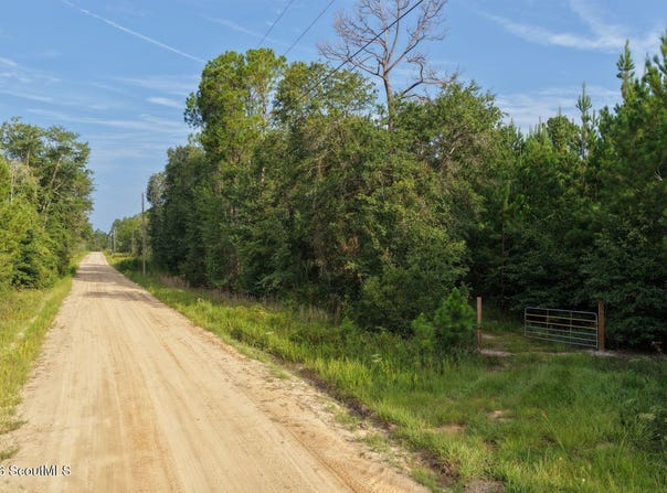 1 Ed Harrell Road, Hortense, GA 31543