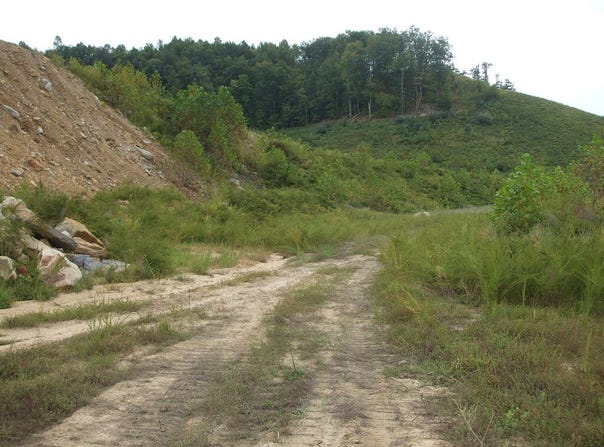 Trace Fork (DB 229, DP 267), Gunlock, KY 41632