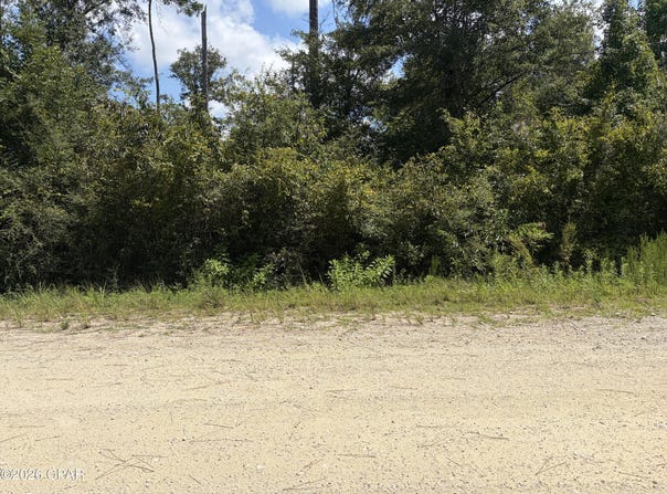 Gambier Drive, Alford, FL 32420