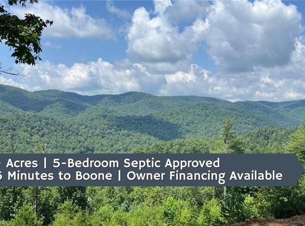 Lazy Bear Lane, Purlear, NC 28665