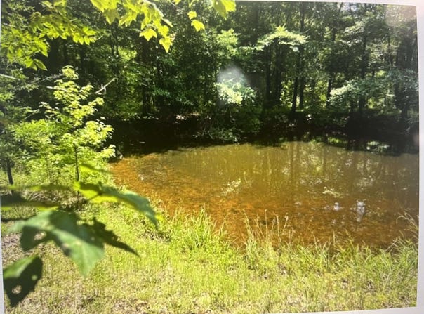 196 BOYD Ln, Stanton, TN 38069