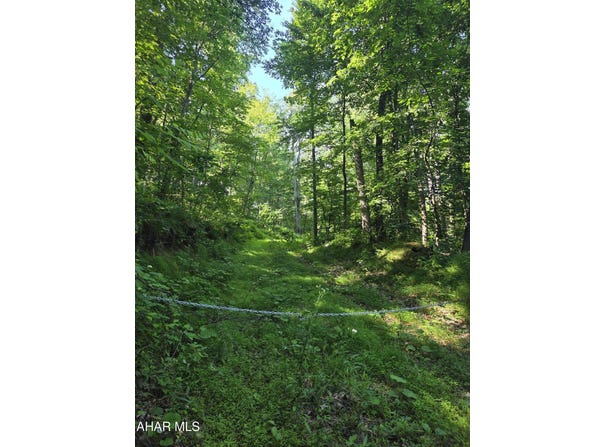 Sugar Ridge Road, McVeytown, PA 17051