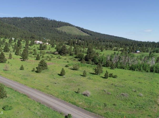 404 Vine Maple Rd, Desmet, ID 83824