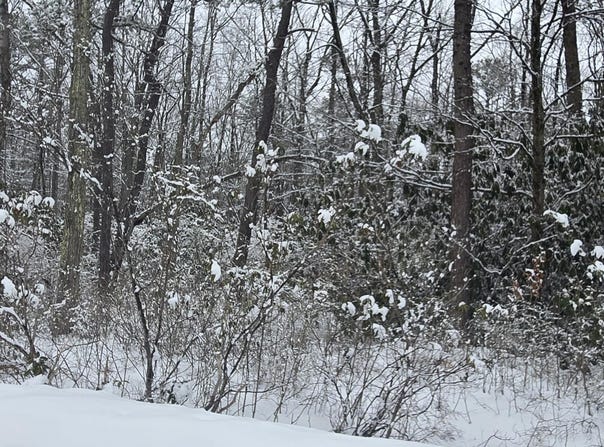 N Sycamore Drive, Jim Thorpe, PA 18229