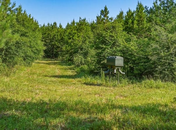 Harry Priddy Road, Americus, GA 31719