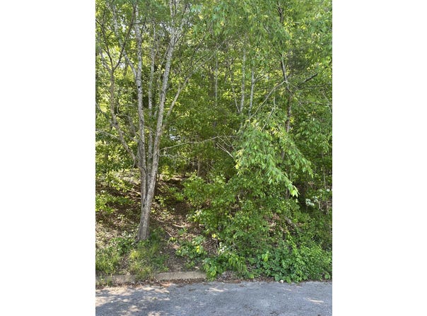 6900 Spinmaker Cove, Ooltewah, TN 37363