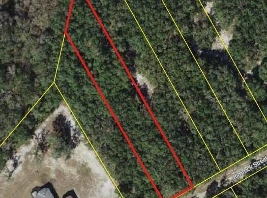 Rimrock Street, Webster, FL 33597