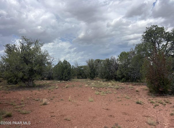 185 Cooks Trail, Ash Fork, AZ 86320
