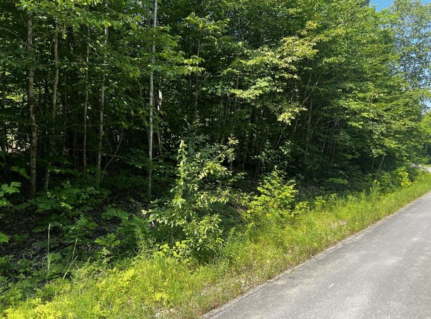 Baker Ridge Road lot: 14-4, Danforth, ME 04424
