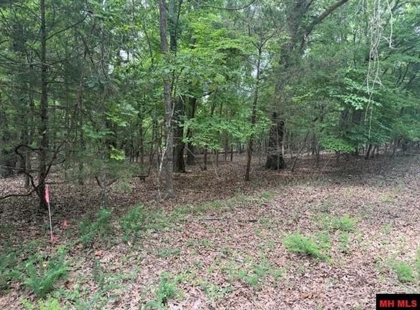 218 CR 472 lot: 40, Clarkridge, AR 72623
