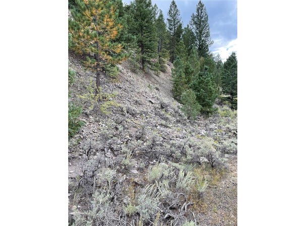 1577 Mears Lane, Salida, CO 81201