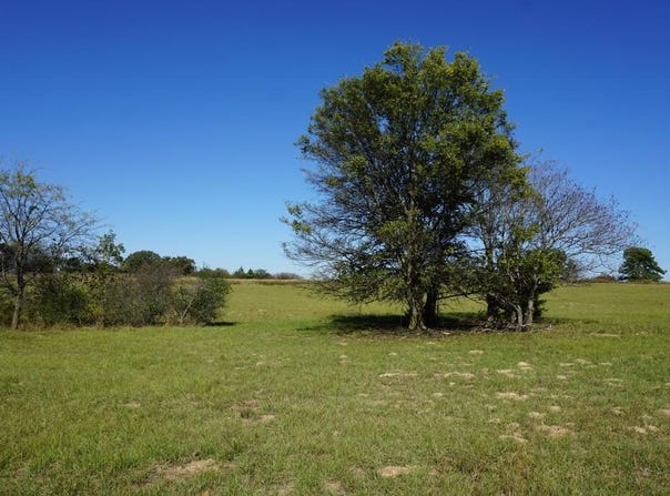 4301 Plainview Dr, Naples, TX 75568