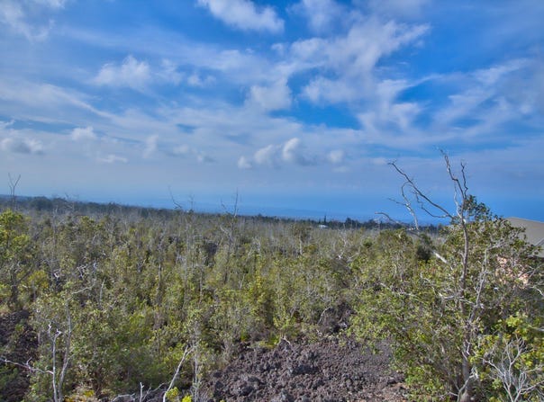 OHIA DR, Ocean View, HI 96737