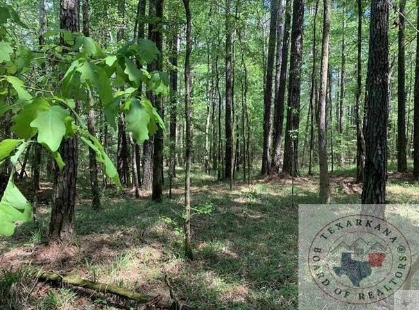 CR 3562, Queen City, TX 75572