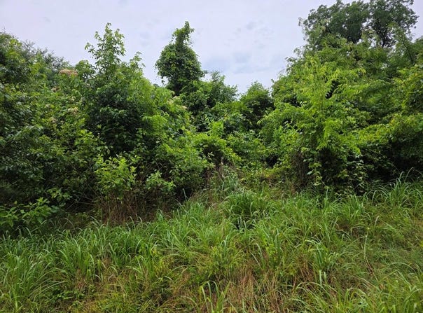 An County Rd 3471, PALESTINE, TX 75803