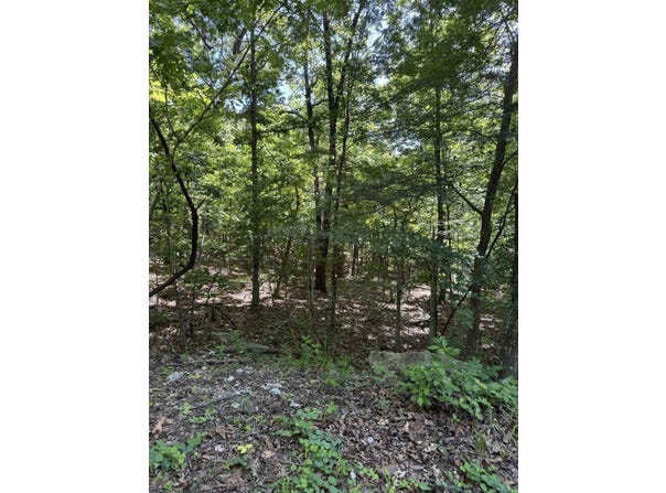 Spokane Drive, Cherokee Village, AR 72529