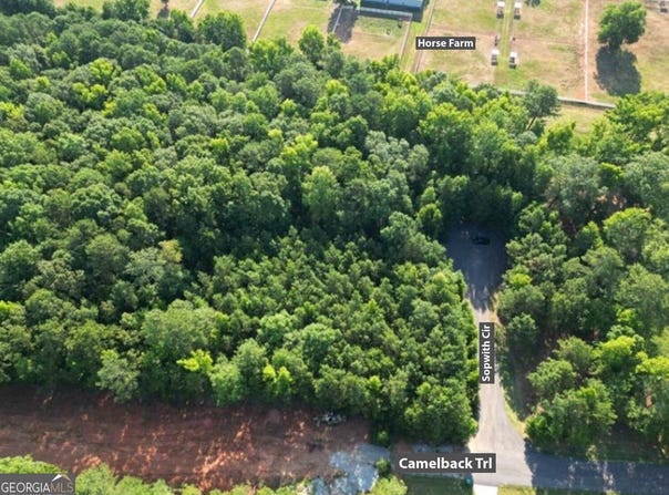 369 Canvasback Trail #147, Locust Grove, GA 30248