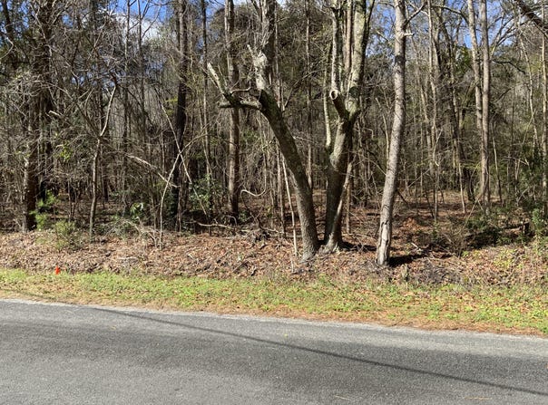 5037 Doctor Taylor Road, Adams Run, SC 29426