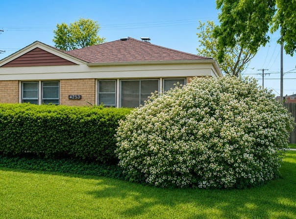 4253 Prescott Avenue, Lyons, IL 60534