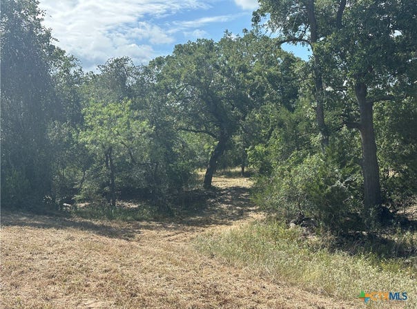 590 Coastal Lane, Luling, TX 78648
