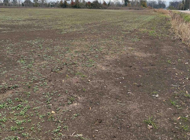 N 144 Highway lot: #2 390, Lake Village, AR 71653