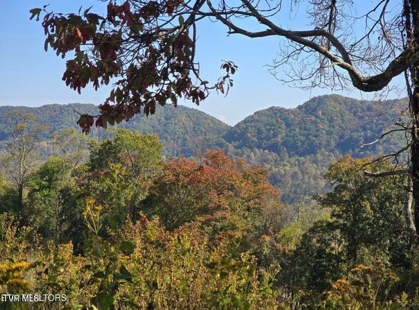 Copper Ridge Road, Eidson, TN 37731