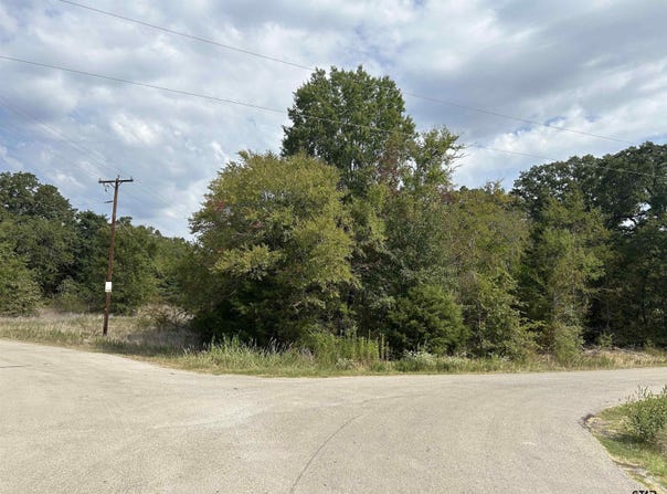 Four Oaks Cir, Kemp, TX 75143