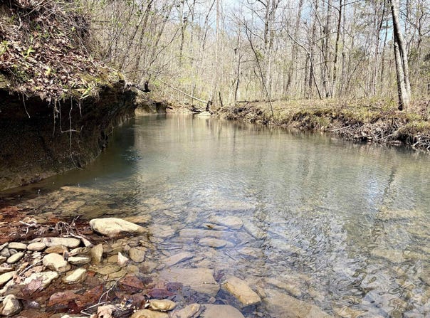 Fayette Road, Clinton, AR 72031
