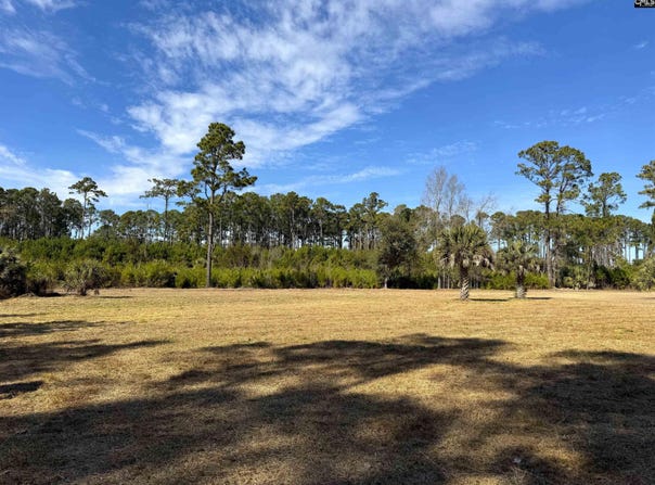 8384 Palmetto Road, Edisto Island, SC 29438