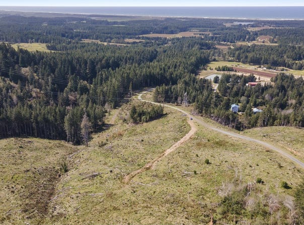 Lois Ln, Bandon, OR 97411