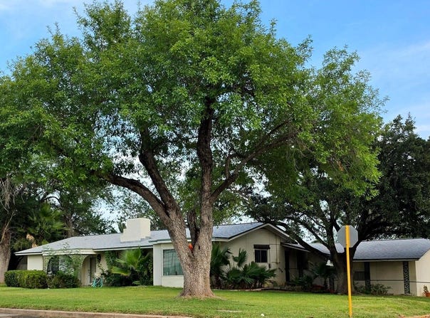 905 Tilden, Cotulla, TX 78014