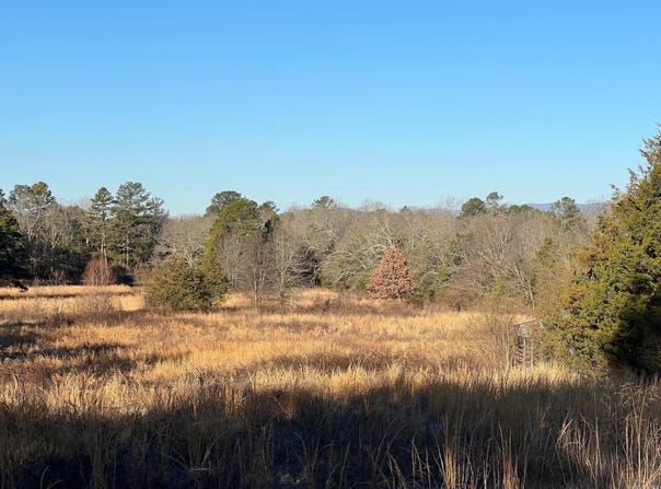 No 911 Elm Street, Waldron, AR 72958