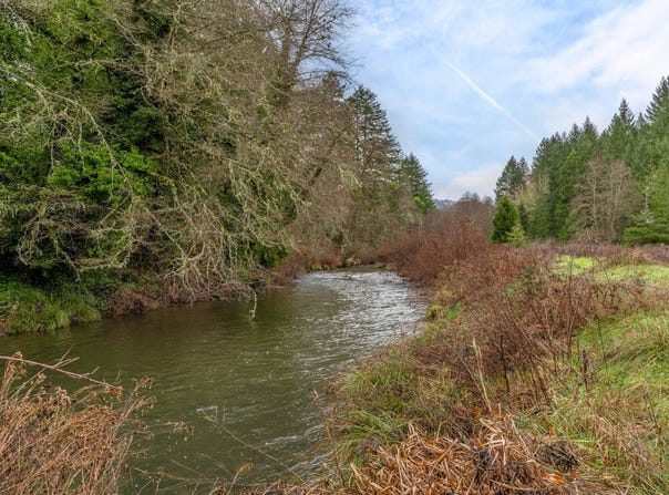 Upper Cow Creek Road, Azalea, OR 97410
