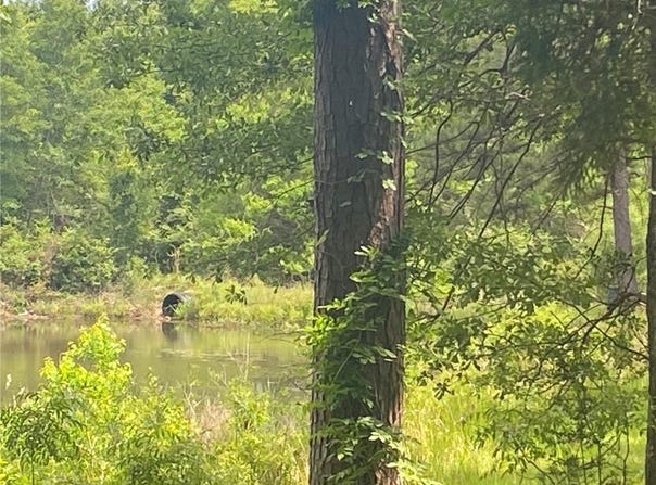 Bear Fork Road, Mobile, AL 36618