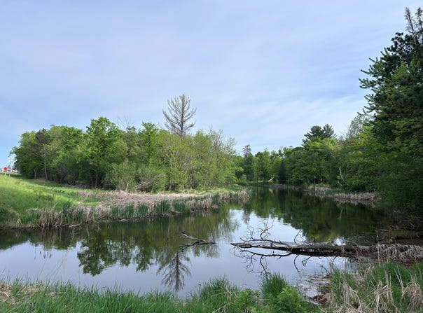 Front Street, Pine River, MN 56474